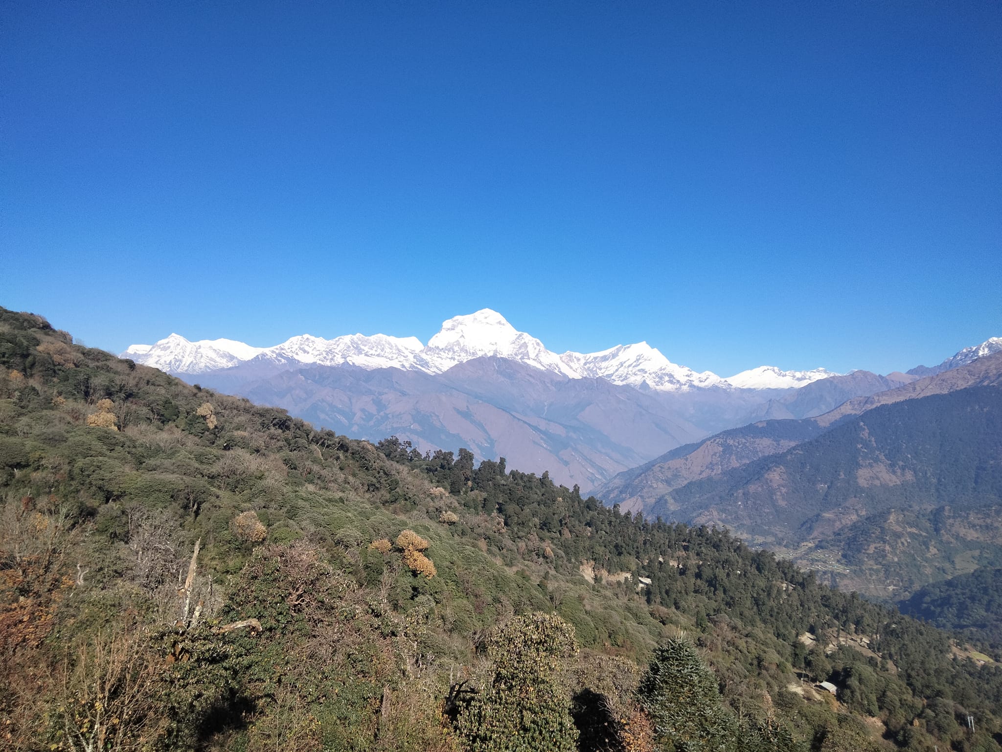 Annapurna Region