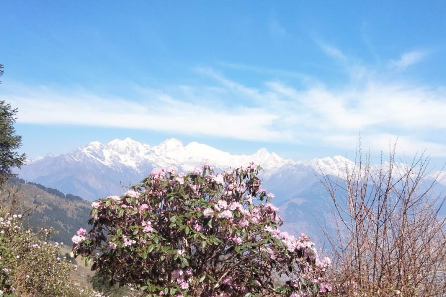 Shivapuri – Nagarkot Trek